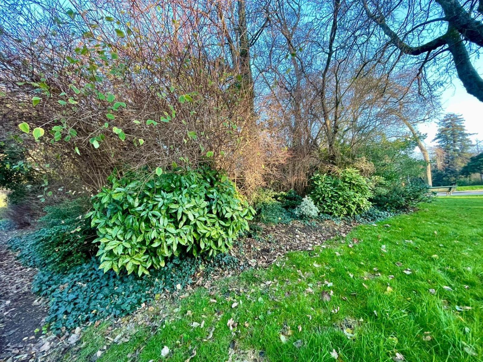 Parc Montsouris Apartment *